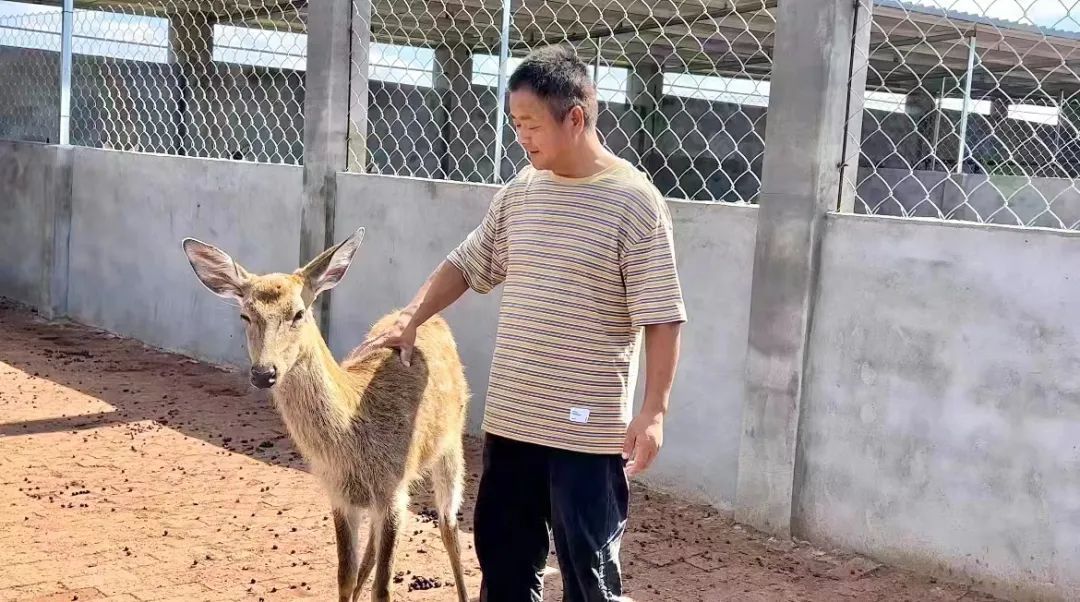 同城游没有五张牌了吗